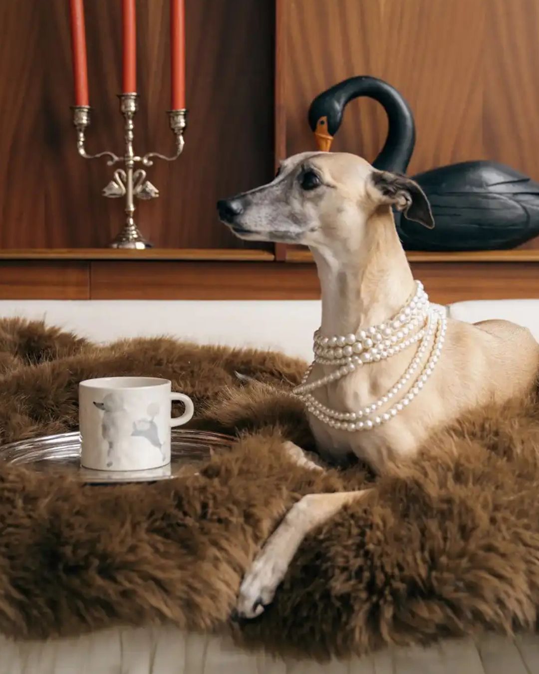 Poodle Mug