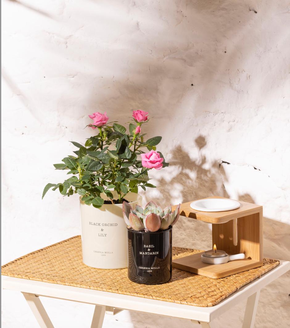 Bamboo & Ceramic Burner - Cereria Molla
