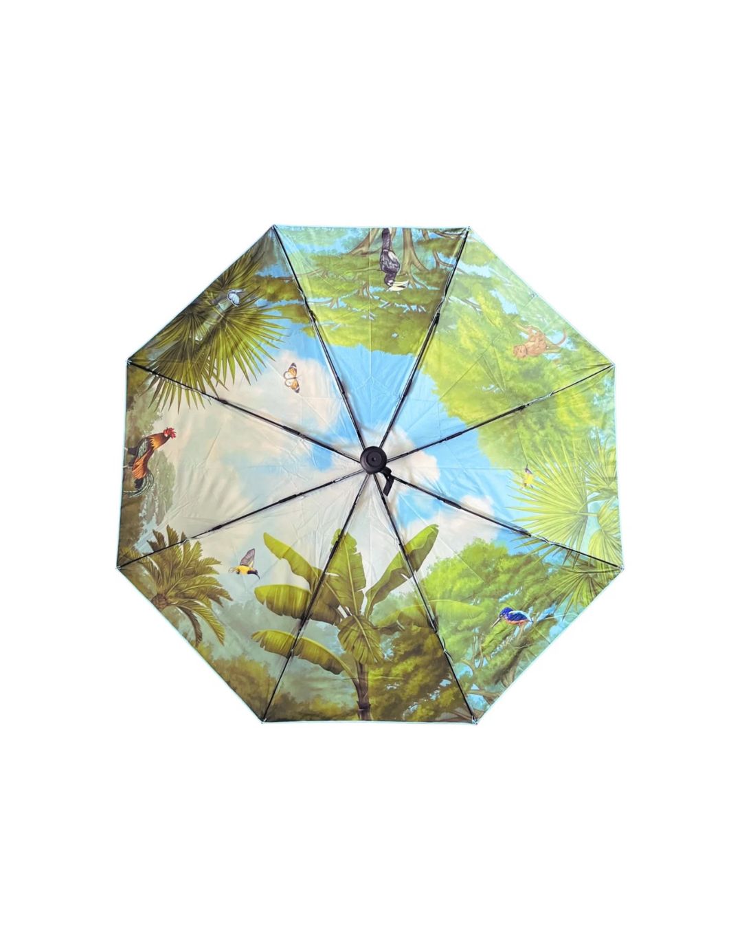 Shiok Farm Singapore Jungle Umbrella