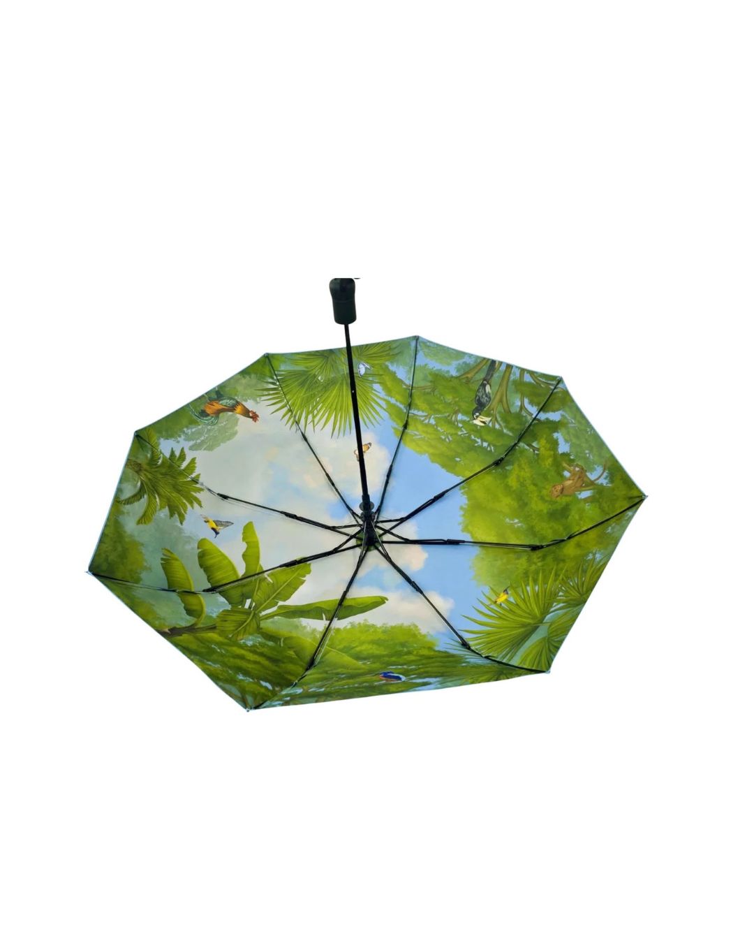 Shiok Farm Singapore Jungle Umbrella
